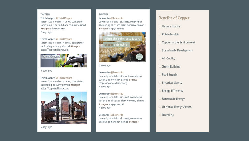 Copper Alliance Website Design with Social Integration